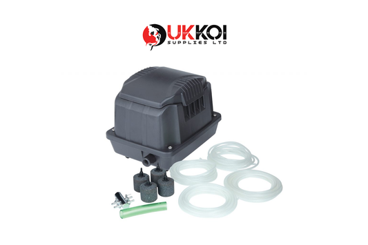 Bermuda Breeze Air Pumps