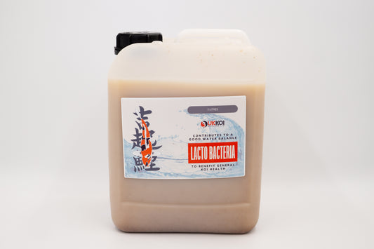 UK Koi Supplies Lacto Bacteria 5L