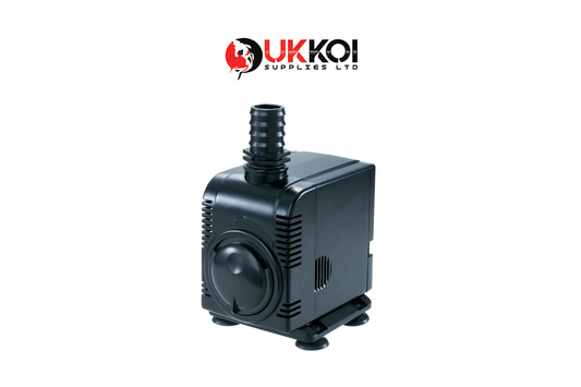 Bermuda Feature Pumps
