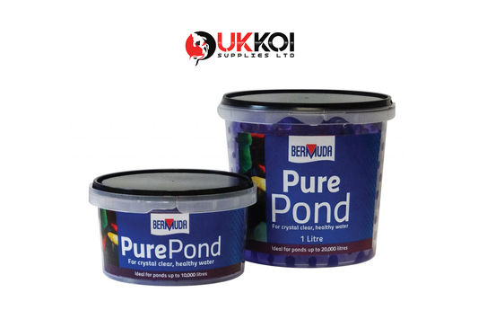 Bermuda Pure Pond